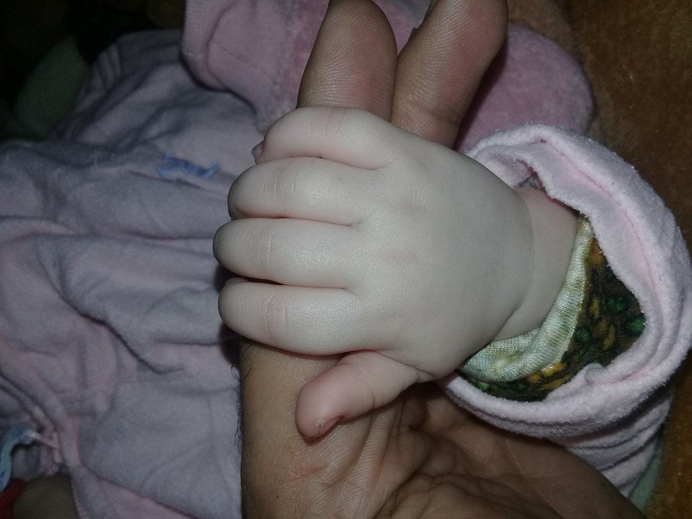 Фотография автора Bahaaddin Saber