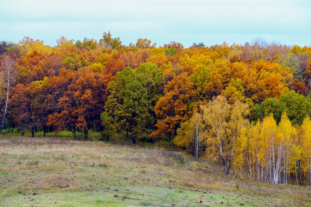 Photograph by Юлия Калугина