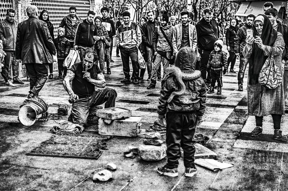 Фотография автора Milad Falahi