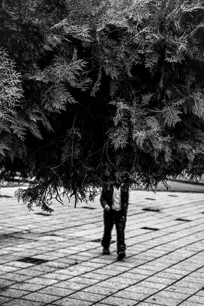 Photograph by Pouyan Mirzaei