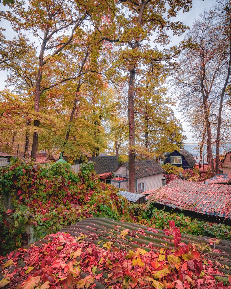 Photograph by Александр Лисенков