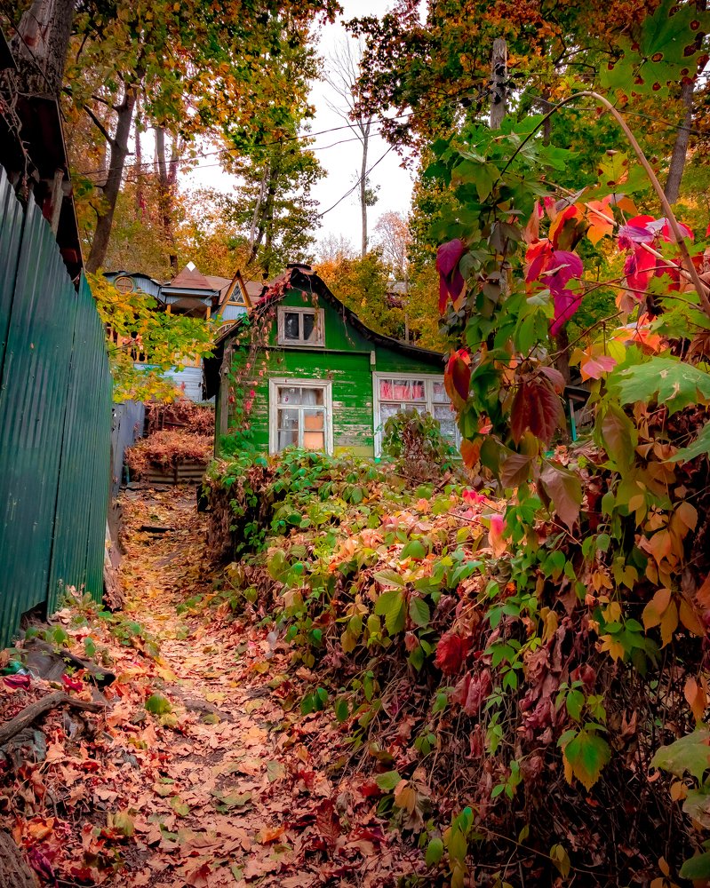 Photograph by Александр Лисенков