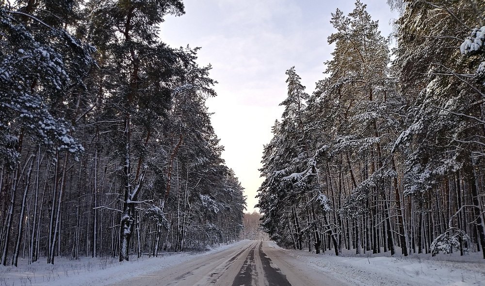 Photograph by Яшин Андрей