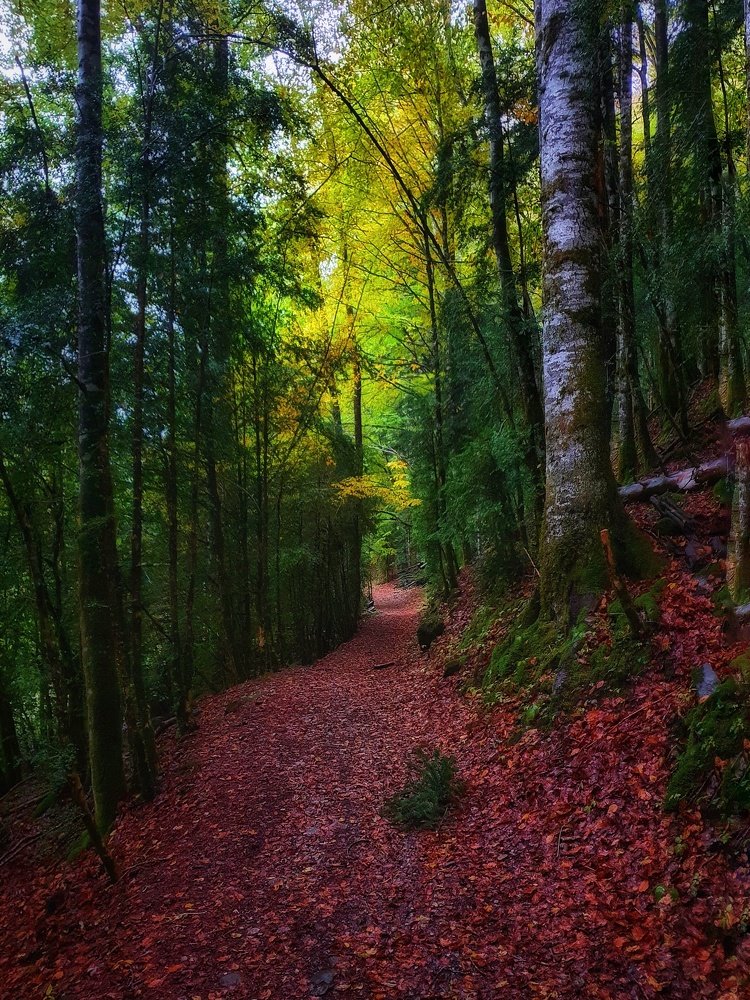 Photograph by Ignacio