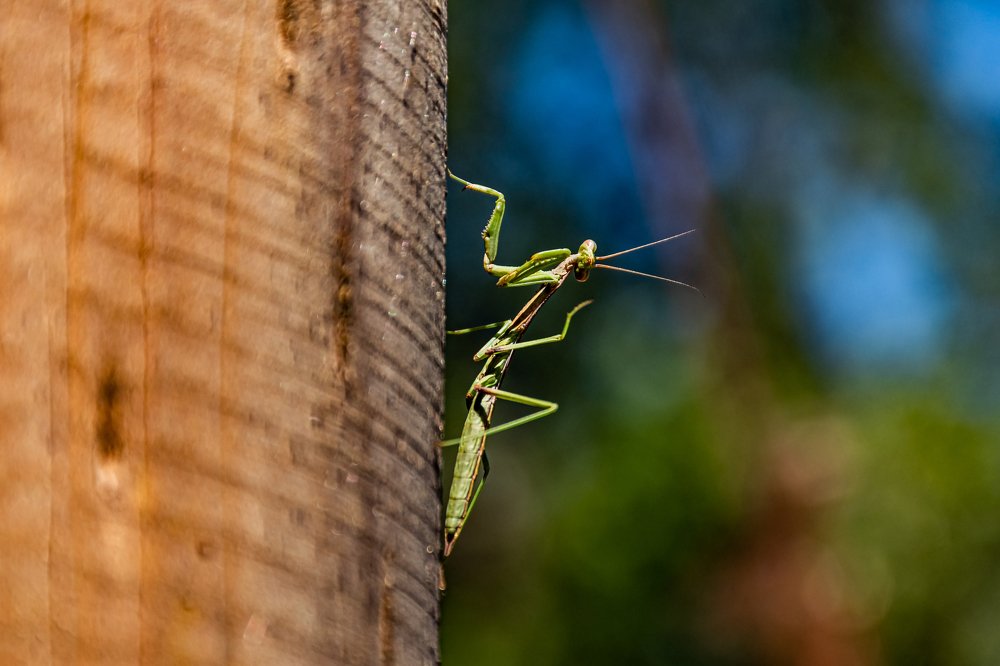 Photograph by Eduardo Vega