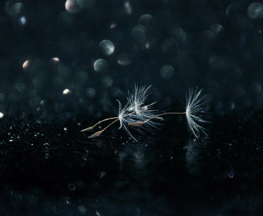 Photograph by Анастасия Тетерина