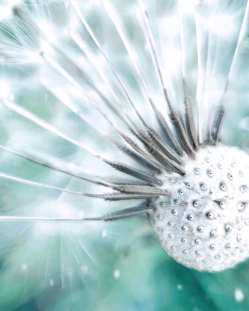 Photograph by Анастасия Тетерина