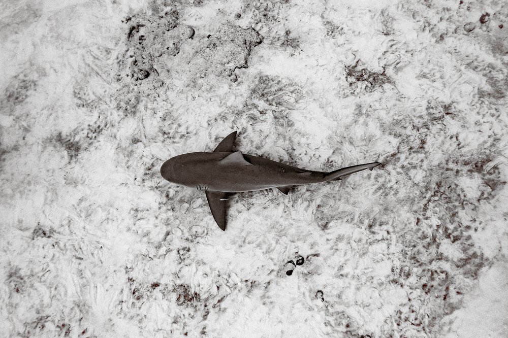 Photograph by Mizael Palomeque