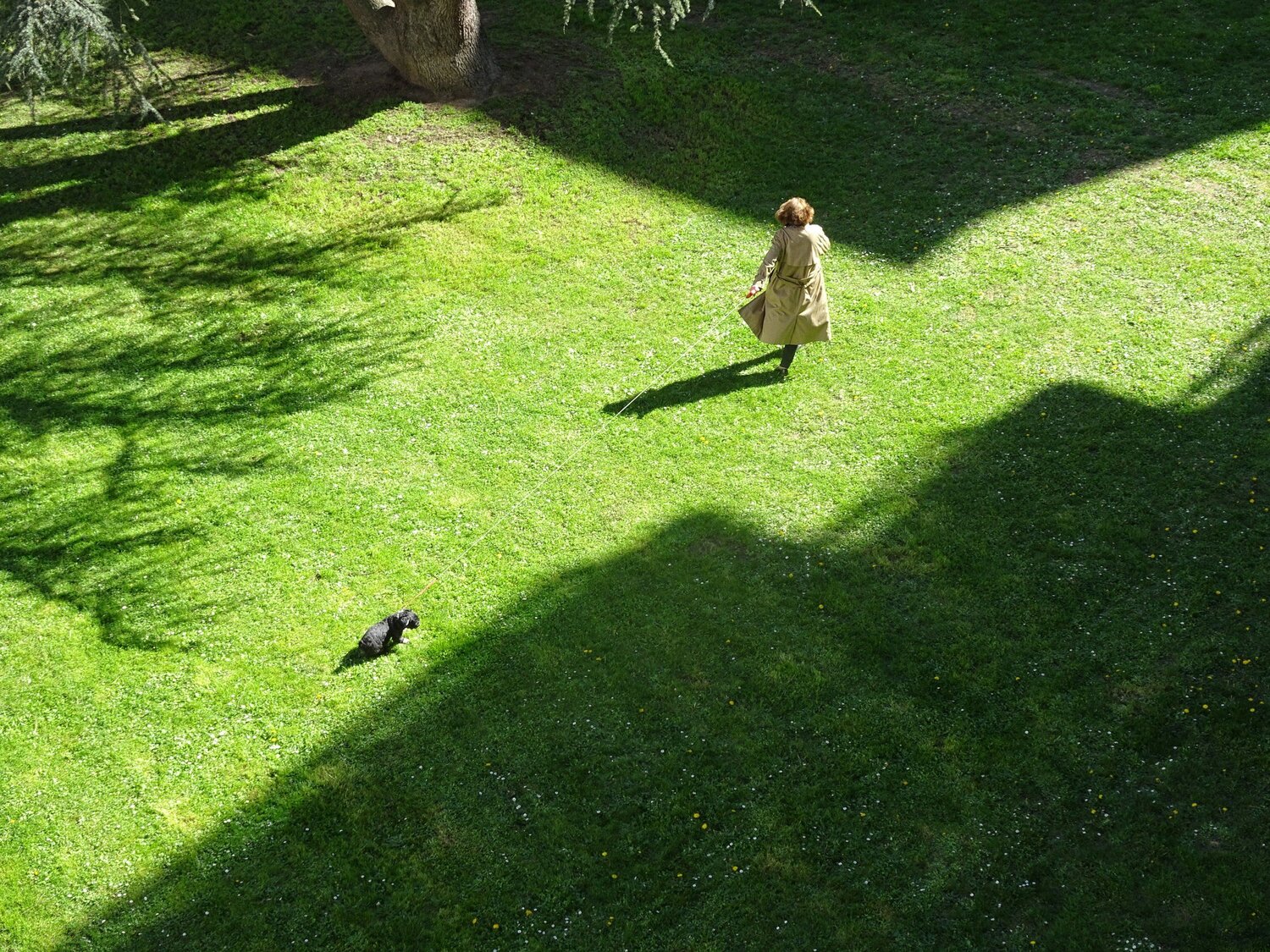 Photo #5351102