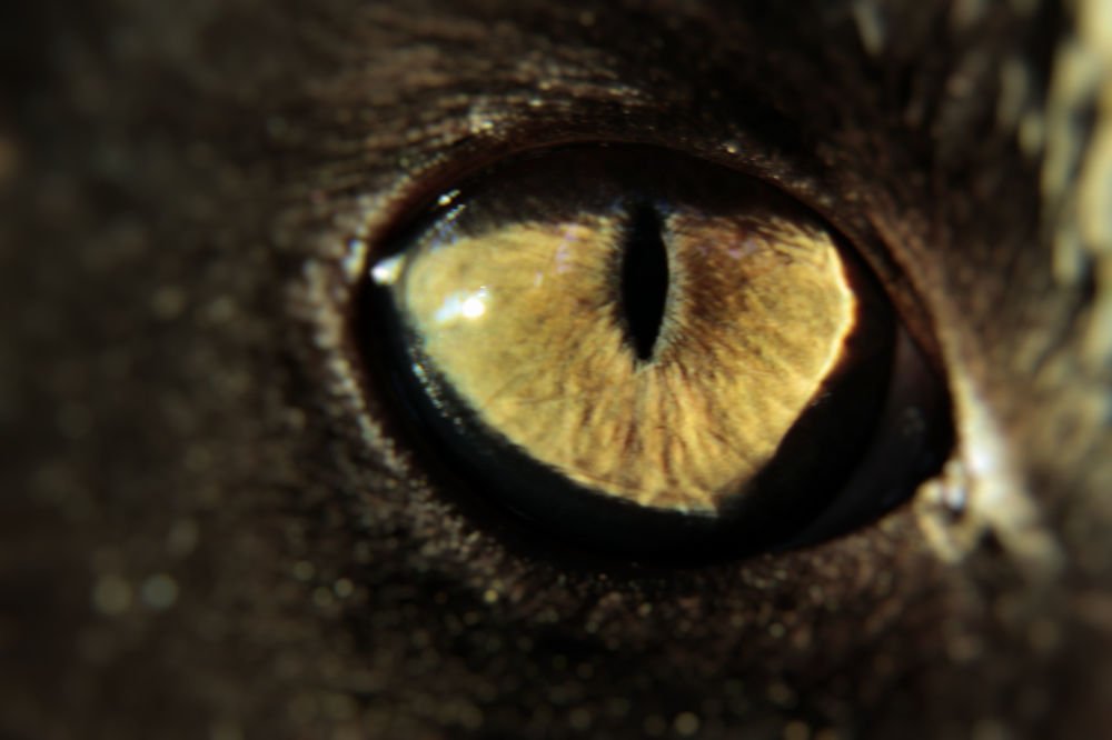 Photograph by Яшин Андрей