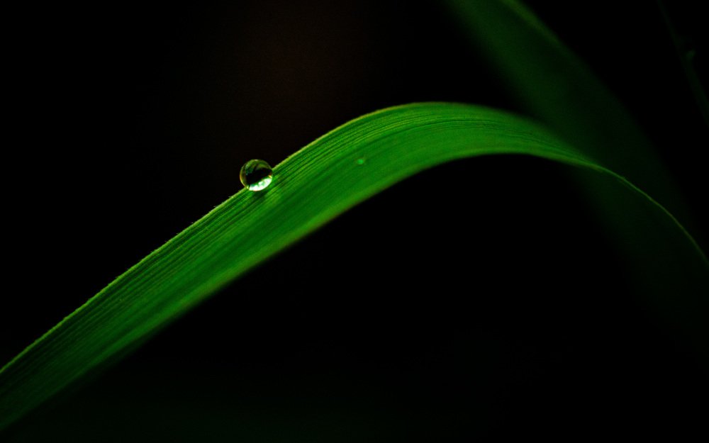 Photograph by Debs Rosales Alberto