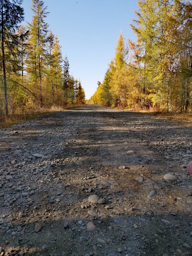 Photograph by Светлана