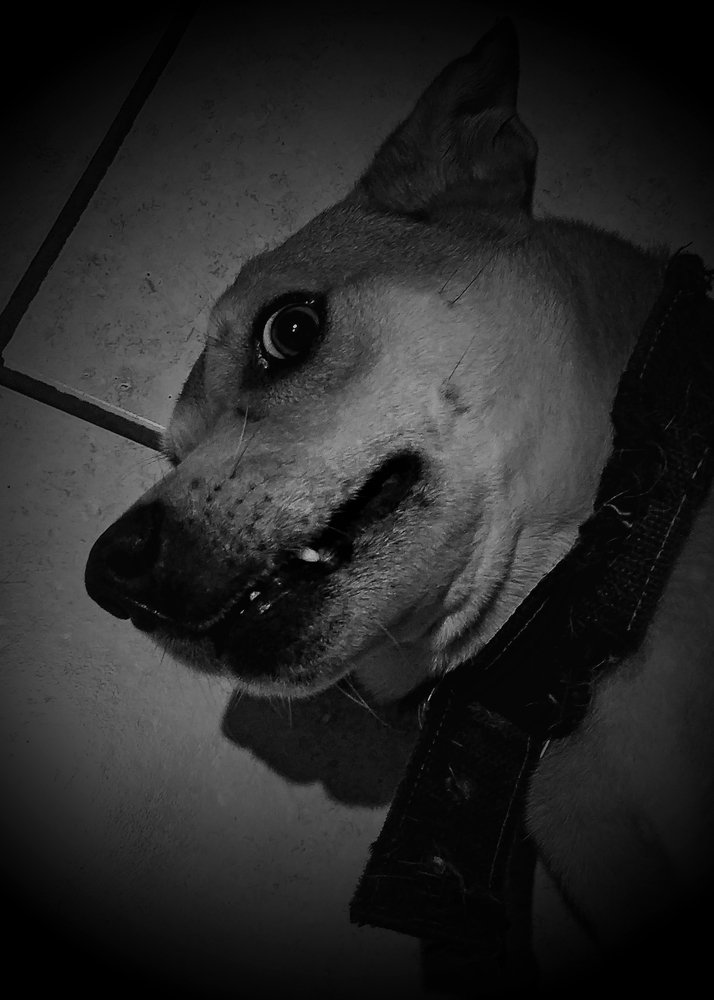 Photograph by Tatiana Barthem