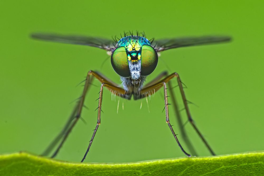 Фотография автора NeCoTi ChonTin