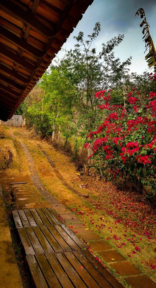 Photograph by Tatiana Barthem