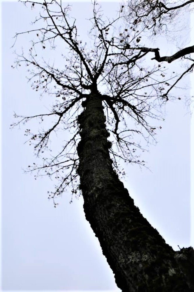 Photograph by Alvydas Baltakis