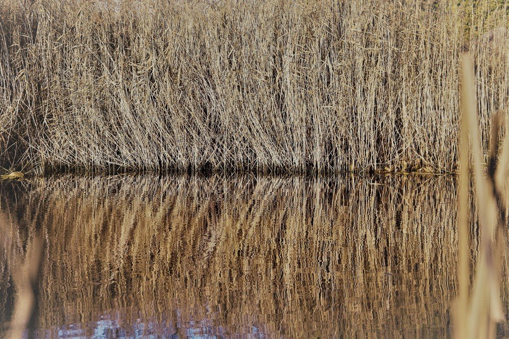 Photograph by Alvydas Baltakis