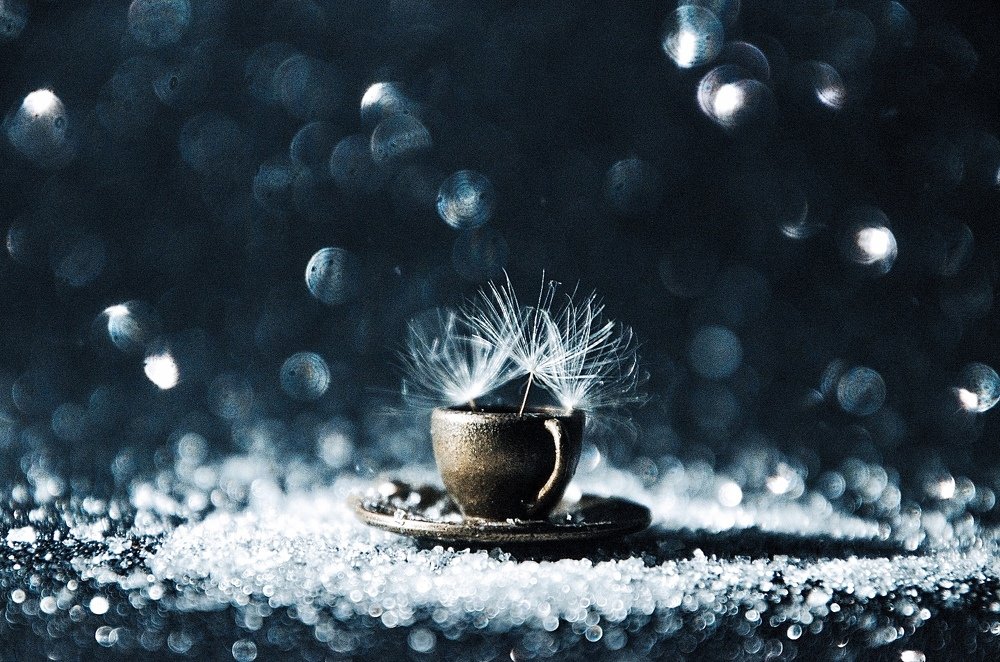 Photograph by Анастасия Тетерина