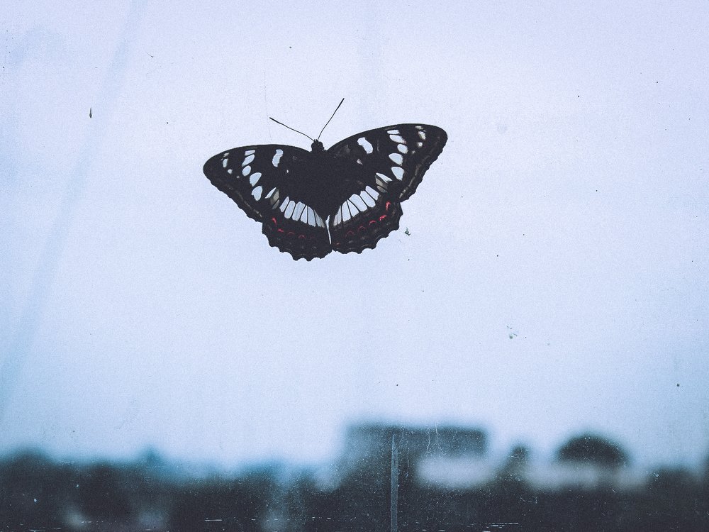 Photograph by Татьяна