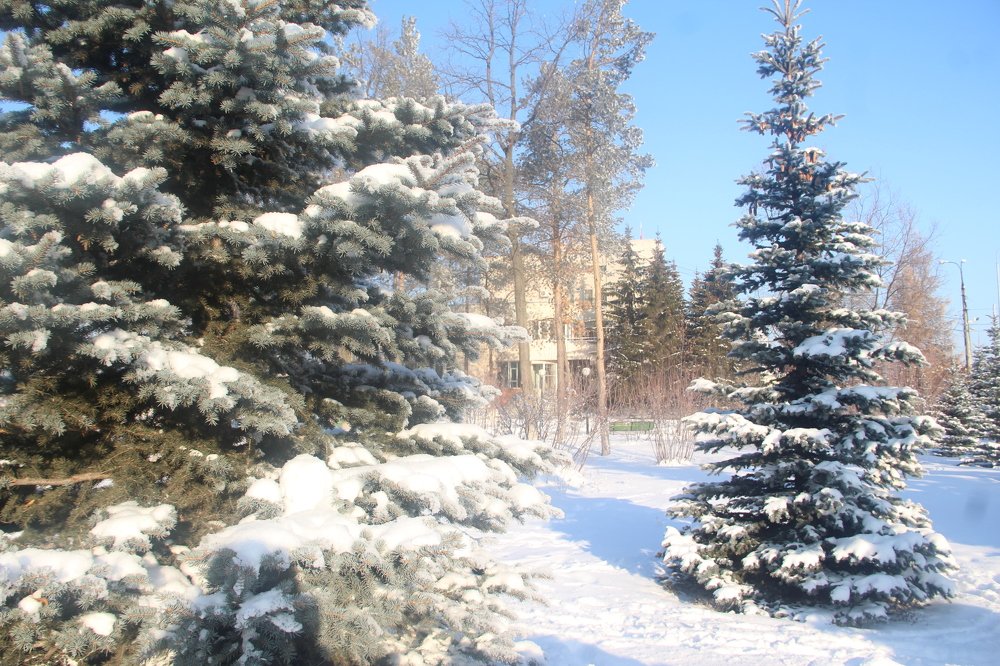 Photograph by Elena Khalizova