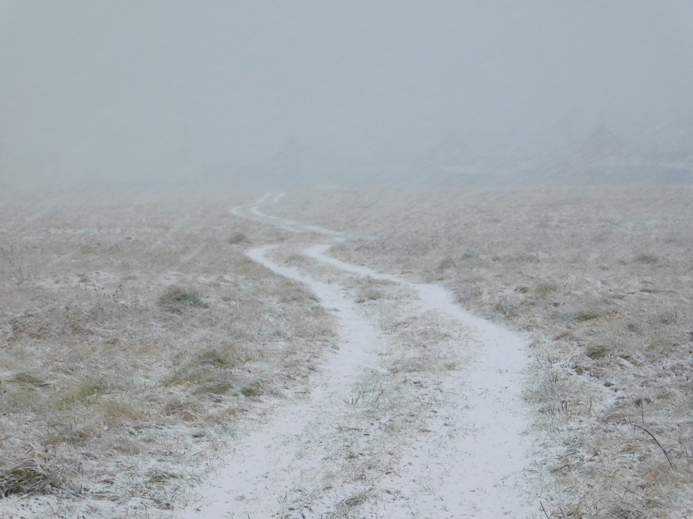 Photograph by Елена Грошева