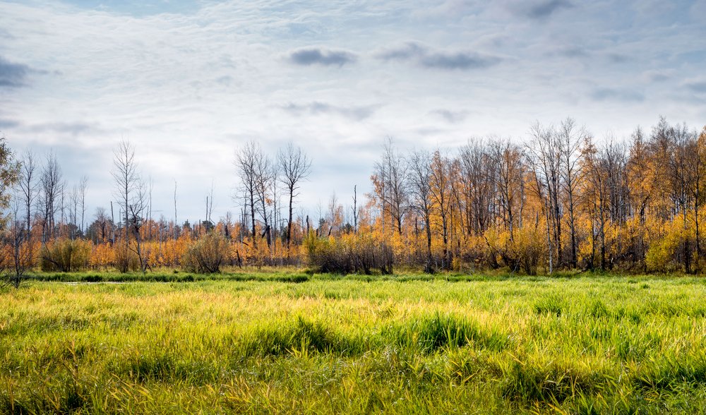 Photograph by Наталья Переверзева