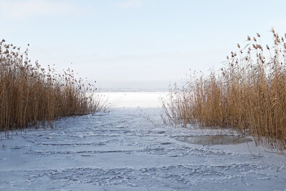 Photograph by Klimigo