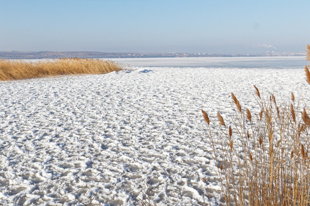 Photograph by Klimigo