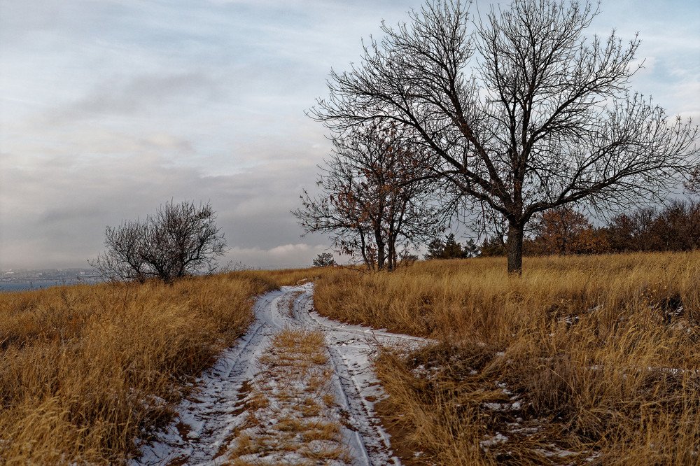 Photograph by Klimigo