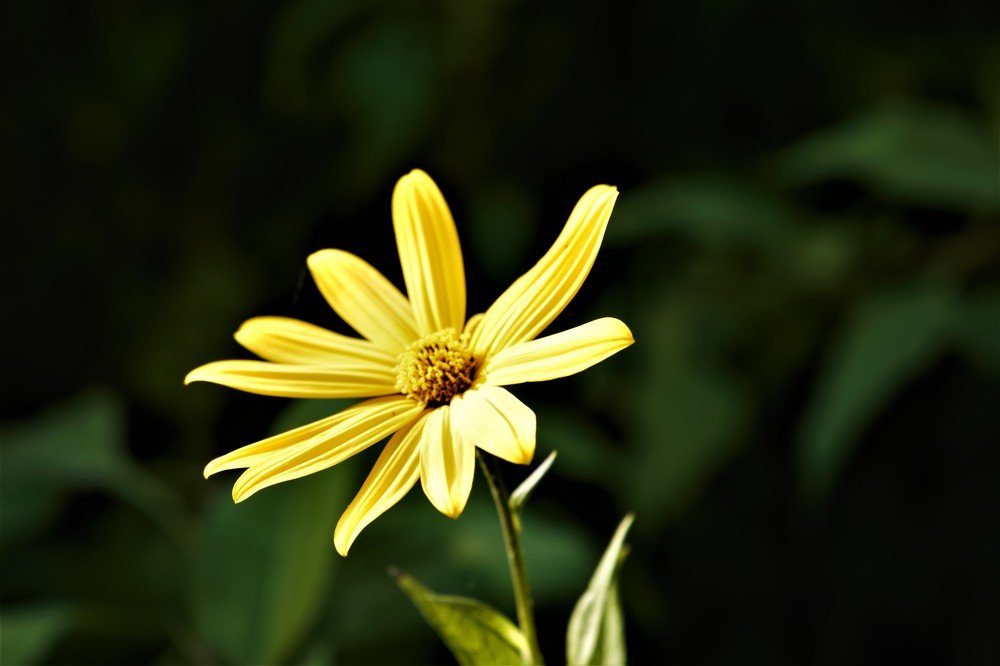 Photograph by Alvydas Baltakis