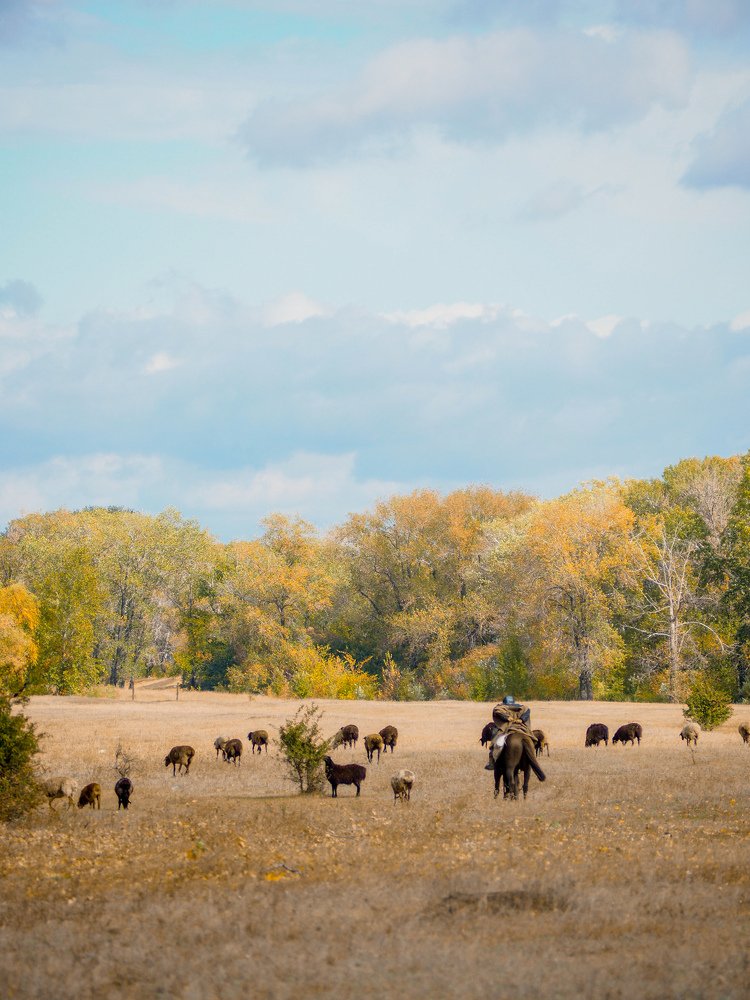 Photograph by Светлана Шибаршина