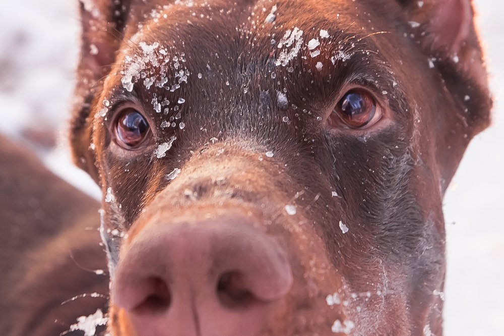 Photograph by Виктория Мамаева