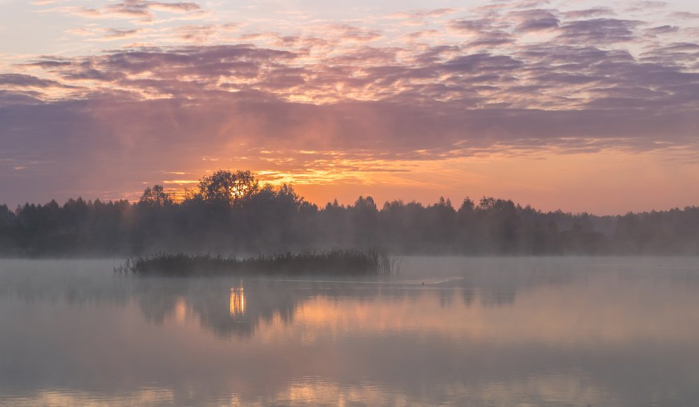 Photograph by Евгений Патрешов