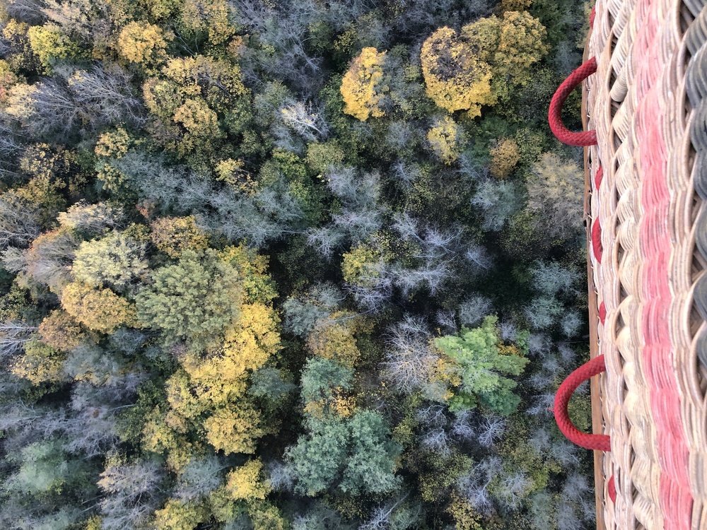 Photograph by Валентина Рязанцева