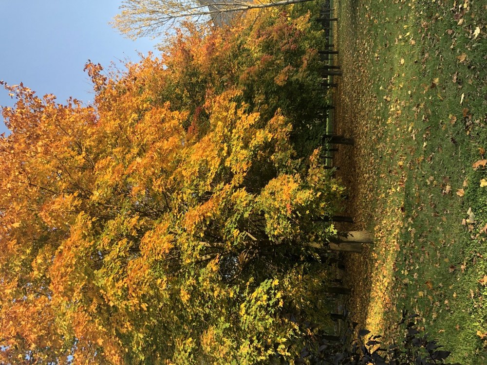 Photograph by Валентина Рязанцева