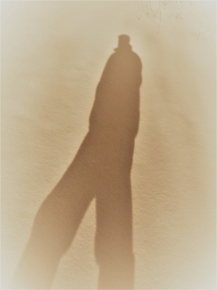 Photograph by Alvydas Baltakis