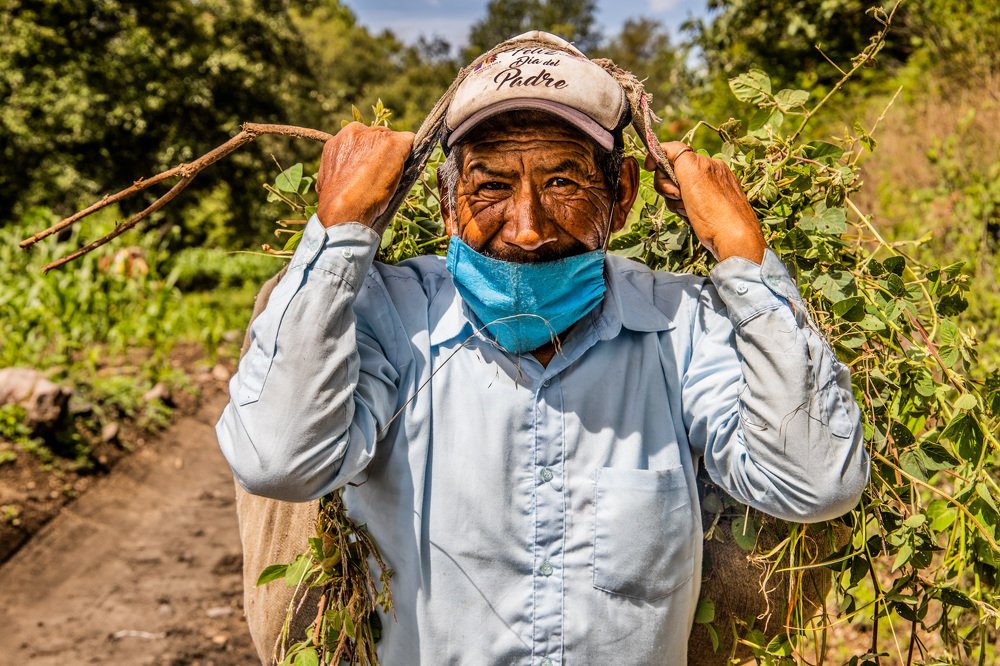 Фотография автора Felipe Heli Pérez Almonte