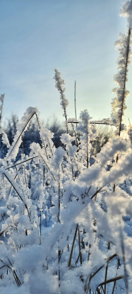 Photograph by Светлана Смирнова
