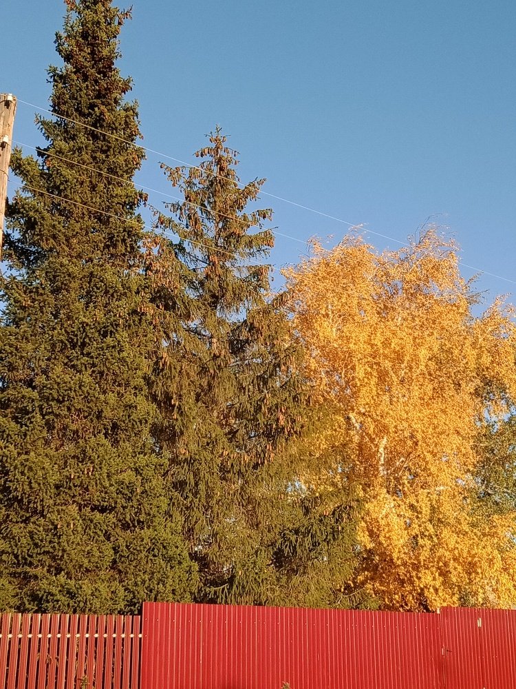Photo #5351932