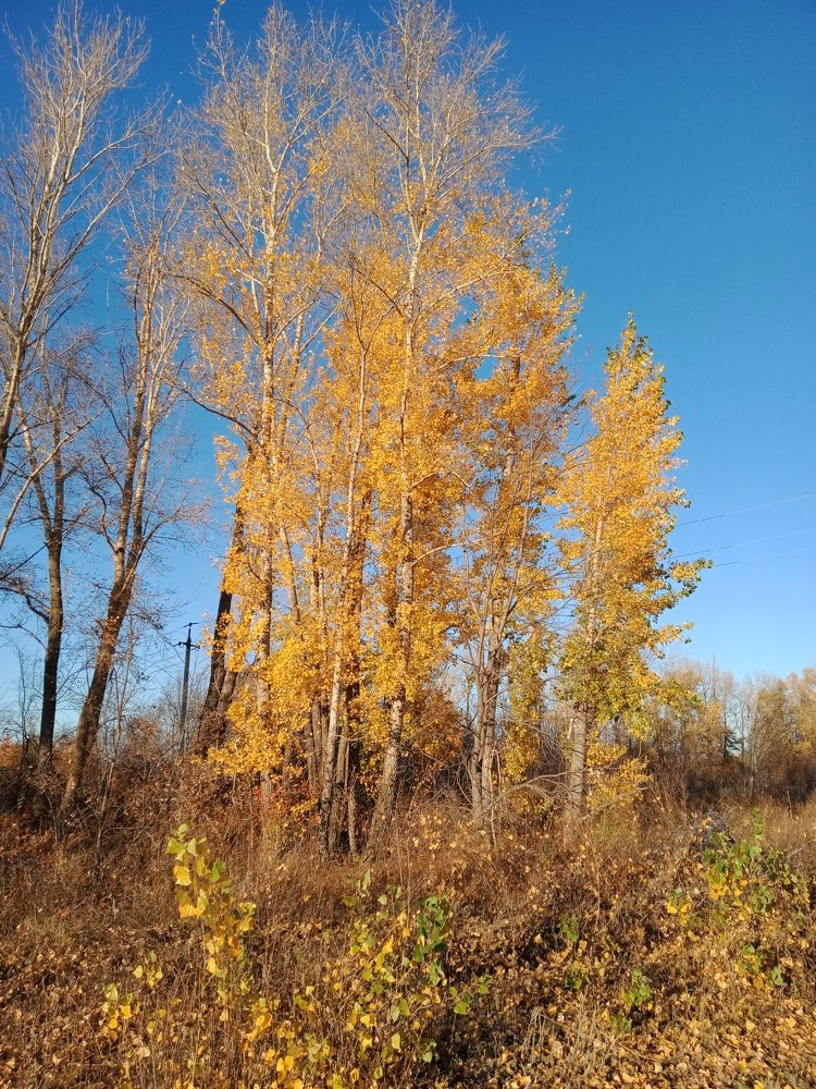 Photo #5351940