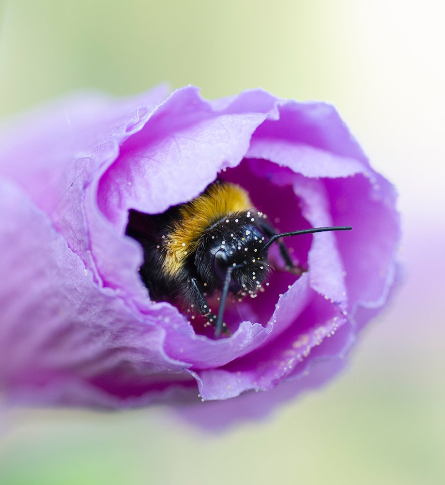 Photograph by Vasily Zhivitsa