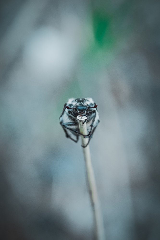 Photograph by Василий Рогачёв