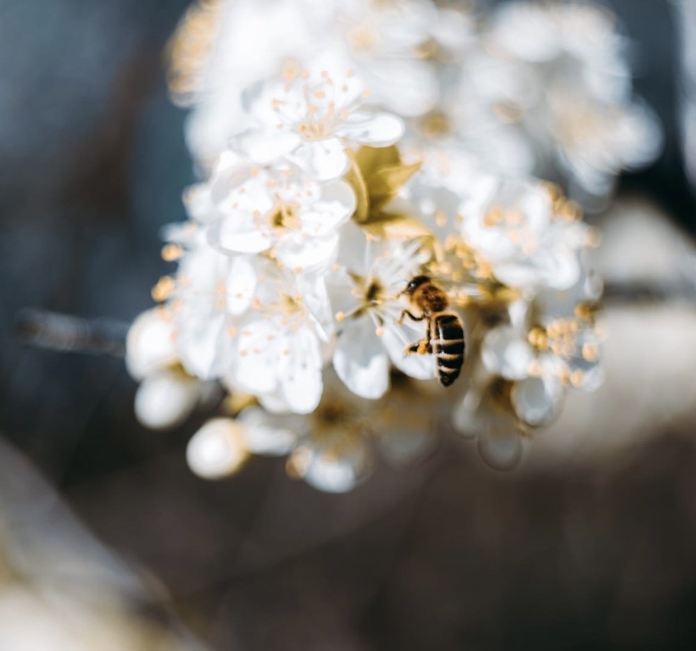 Photograph by Дмитрий Лукьянов