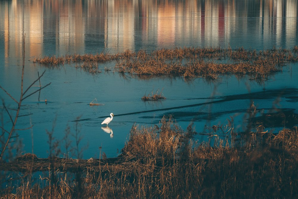 Одиночество