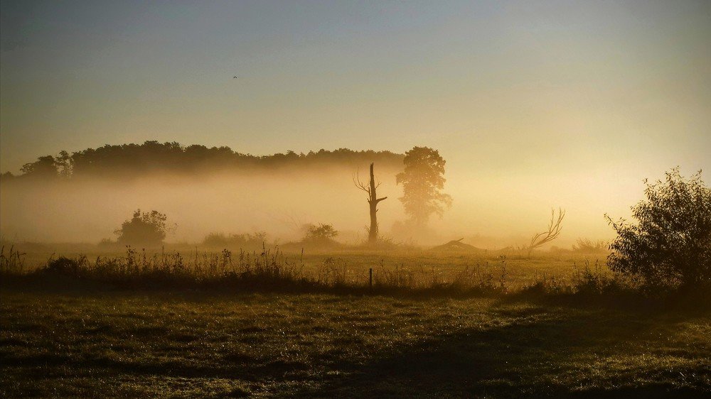 Photograph by Tomasz Klimek