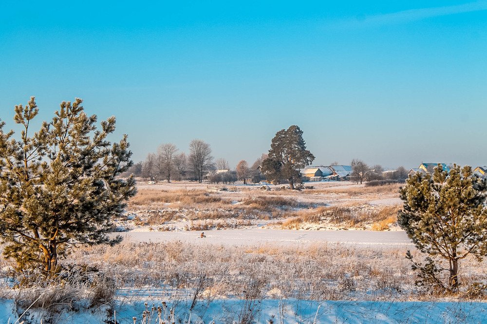 Фотография автора Людмила Иванова