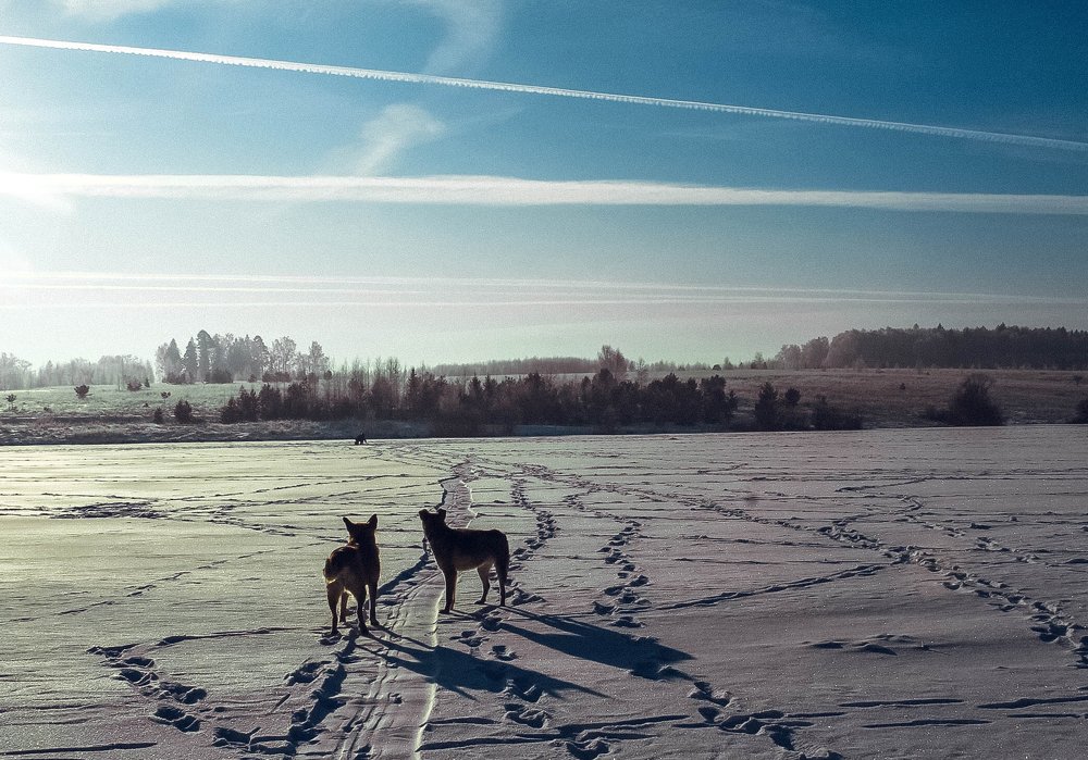 Фотография автора Людмила Иванова