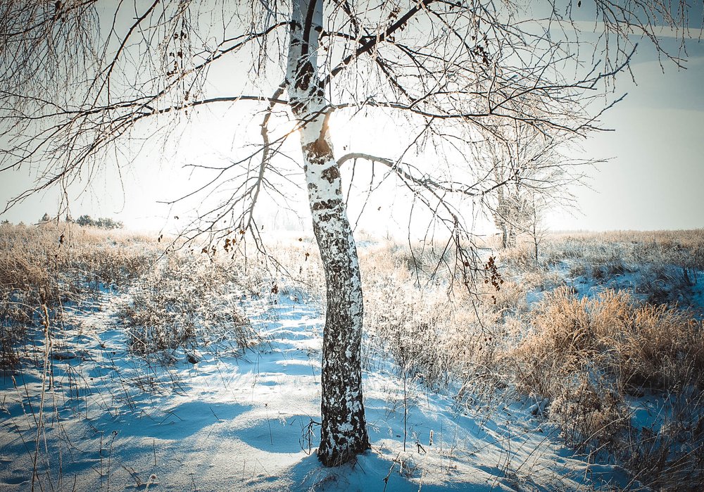 Фотография автора Людмила Иванова