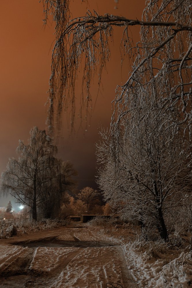 Photograph by Ольга Денисова