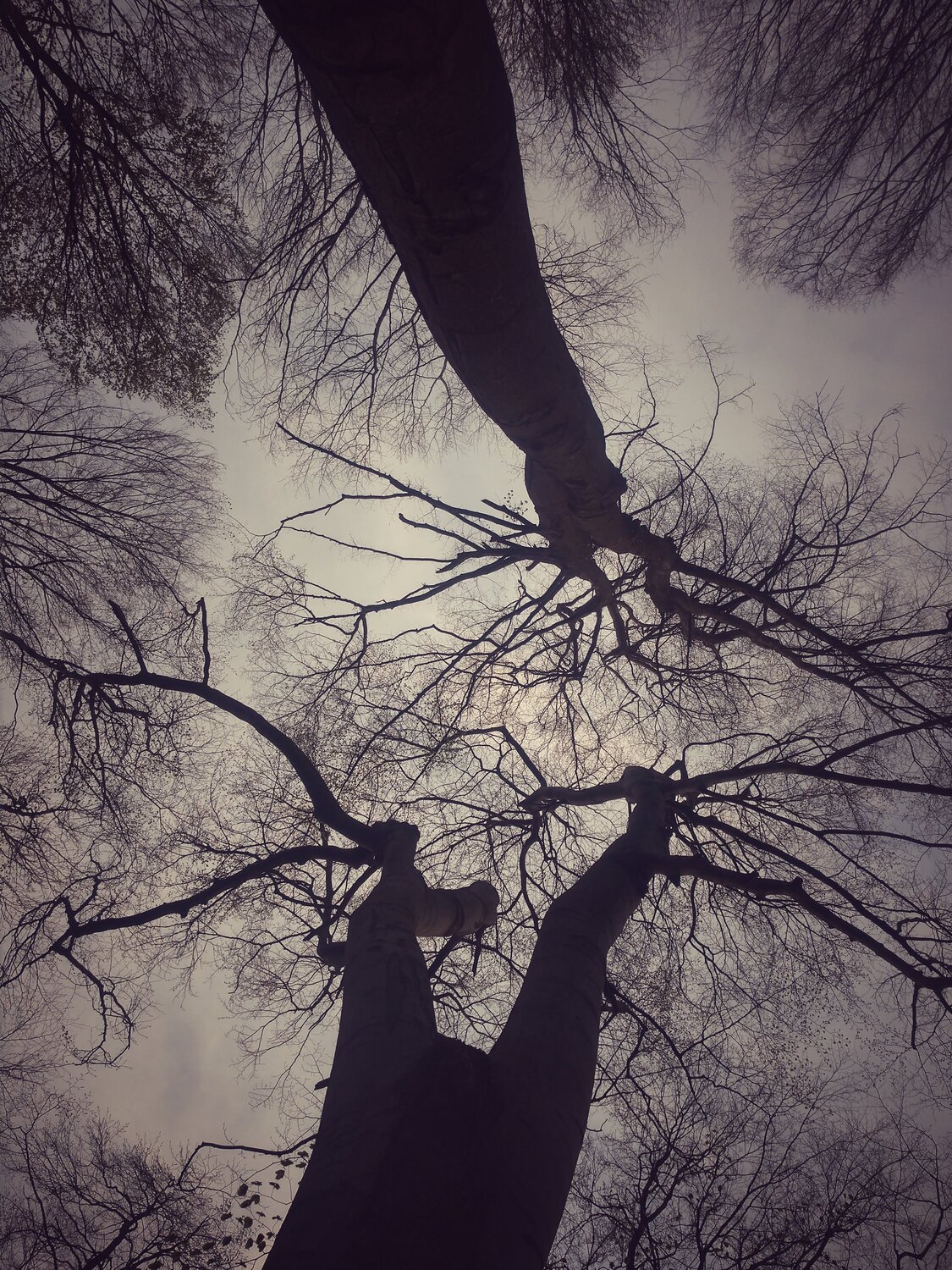 Photo #5352118